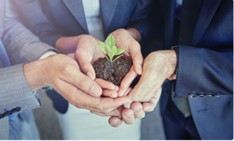 Hands holding soil and a growing seedling